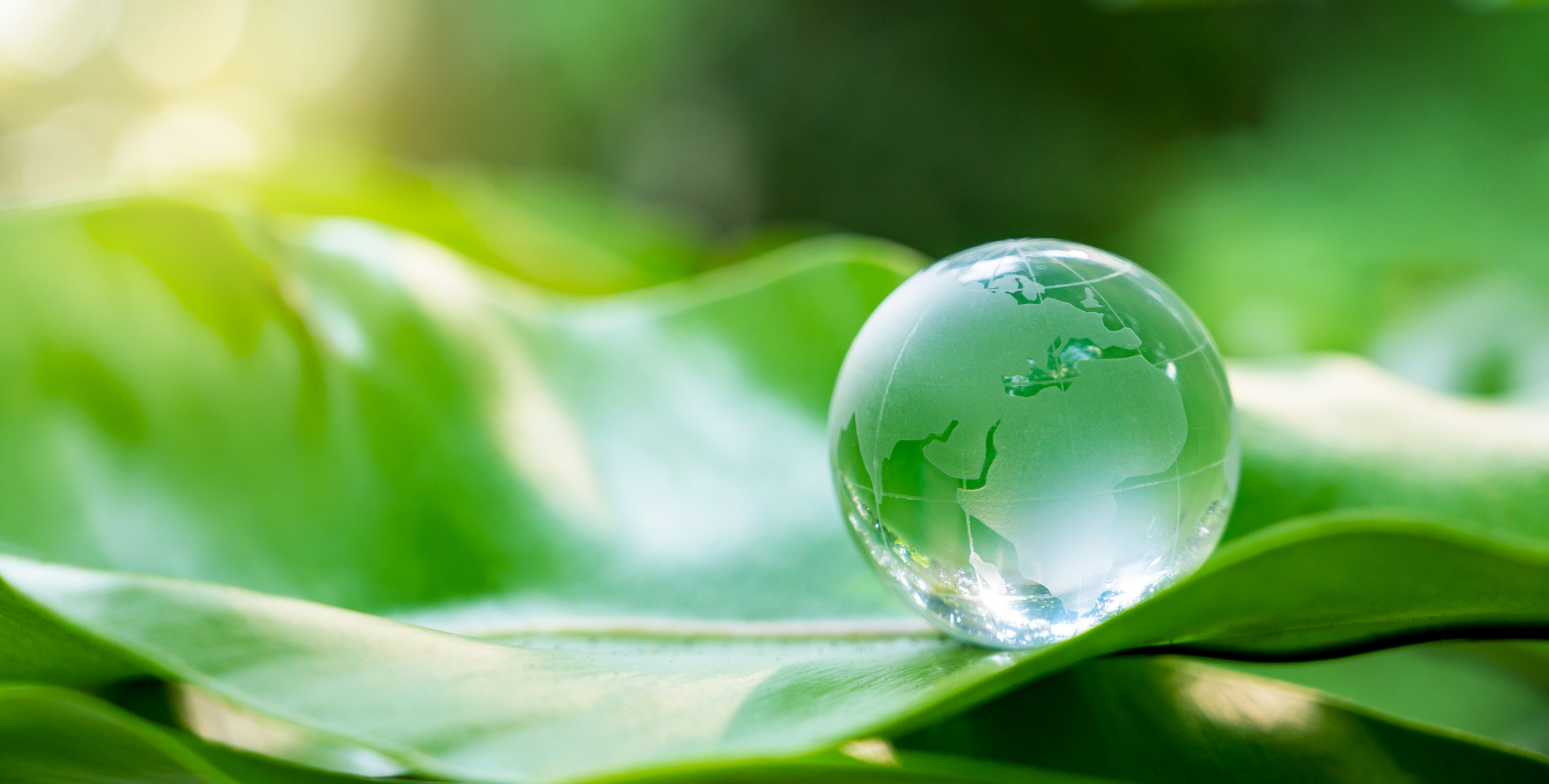 Conference Summary: ESG & Climate Risk in Quant Finance Conference