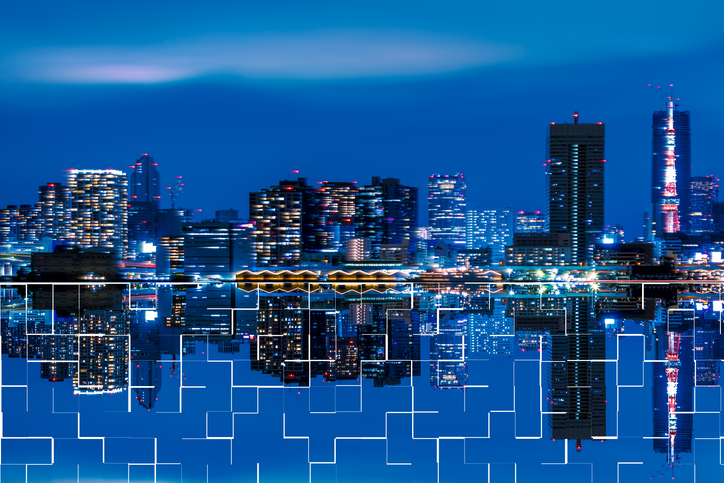 The Development and Evolution of Mean-Variance Efficient Portfolios in the US and Japan: 30 Years After the Markowitz and Ziemba Applications